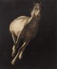 Untitled 92622 by Joe Andoe contemporary artwork Painting