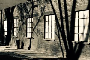 Modern Art contemporary art gallery in Vyner Street London United Kingdom