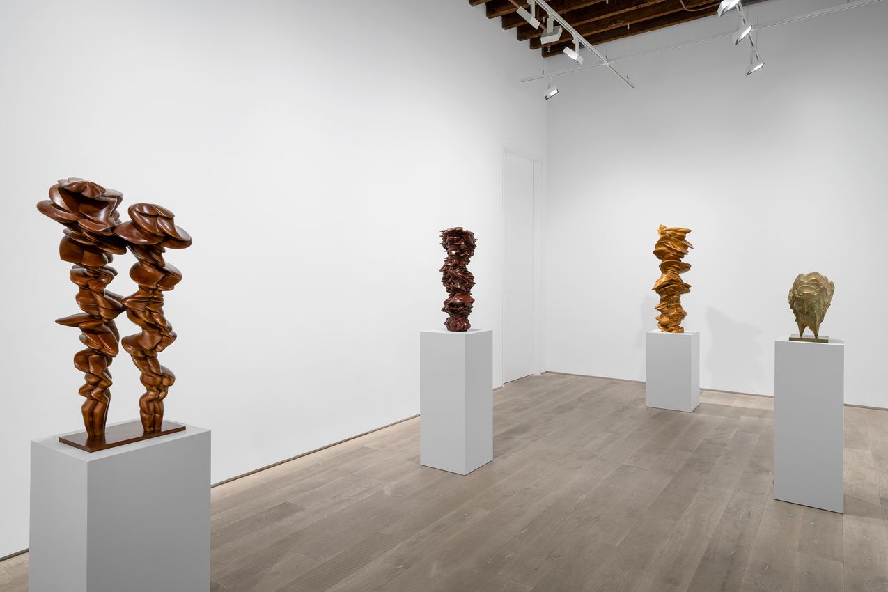Tony Cragg