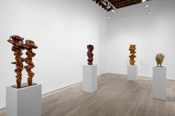 Contemporary art exhibition Tony Cragg New Sculptures at Lisson Gallery 2F Huqui Road Shanghai China