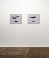 Backyard Wars by Babak Golkar contemporary artwork photography sculpture