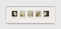 Between the Years A Tragic Gesture by Tacita Dean contemporary artwork Photography