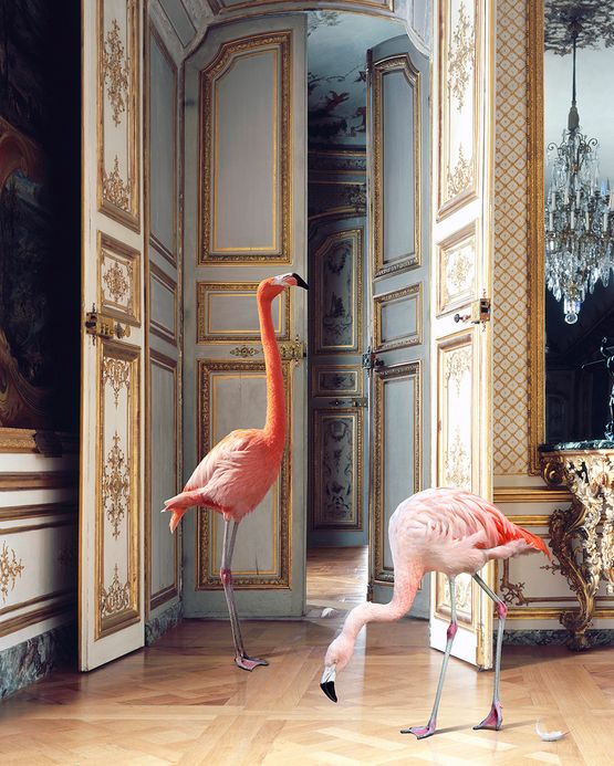 The Battle Gallery 2 Chateau de Chantilly by Karen Knorr contemporary artwork Photography
