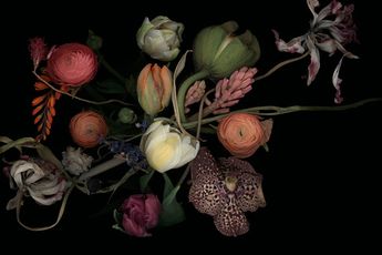Luzia Simons contemporary artist