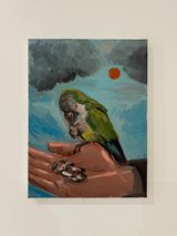 Feeding Parakeet by Charles Hascoet contemporary artwork painting