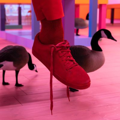 Alex Da Corte Reveals Vivid Parallel Realities at Louisiana Museum