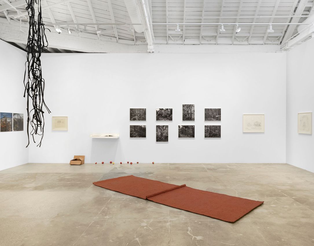 Group Exhibition
