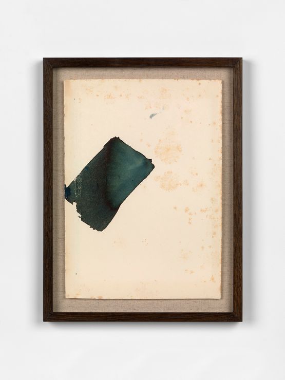 The Moth by Sam Lock contemporary artwork Painting
