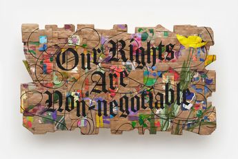 Andrea Bowers contemporary artist