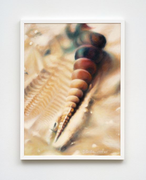 A Walk of the Sea Shell by Sawako Goda contemporary artwork Painting