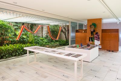 In Praise of Birdsong Silent Spring in Sao Paulo