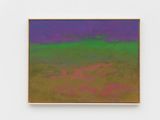 Untitled by Richard Mayhew contemporary artwork painting
