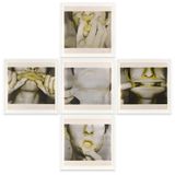 Studies for Holograms a-e by Bruce Nauman contemporary artwork print