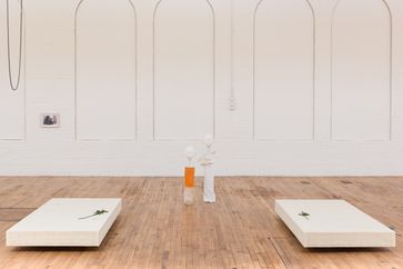 Cathy Wilkes contemporary artist