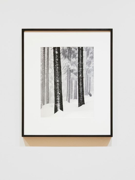 Wendkopf by Peter Mathis contemporary artwork Print