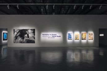 Contemporary art exhibition Yasuo Sumi Harmony in Chaos A Peek Into The Mind of Yasuo Sumi at Whitestone Gallery Singapore