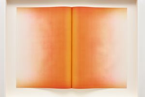 Anish Kapoor