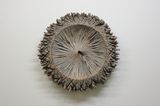 Magic Symbol by Shigeo Toya contemporary artwork painting
