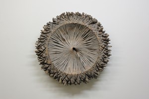 Shigeo Toya