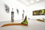 Taewon Ahn contemporary artist