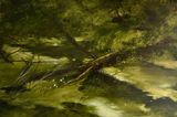 Hint by Maryam Yusifaliyeva contemporary artwork painting