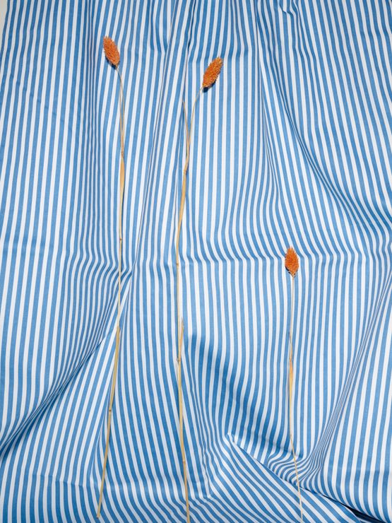 Straws and Stripes by Annette Kelm contemporary artwork Photography