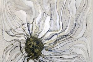 Julia Morison