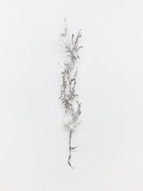 Diaphanous I by Inside Job contemporary artwork sculpture