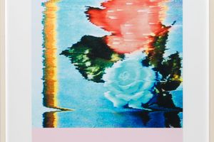 Pipilotti Rist