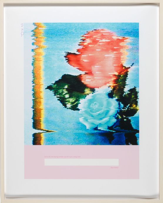 All ergic Rose by Pipilotti Rist contemporary artwork Photography