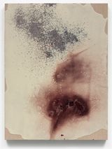 Cochenille Cluster by Analia Saban contemporary artwork mixed media