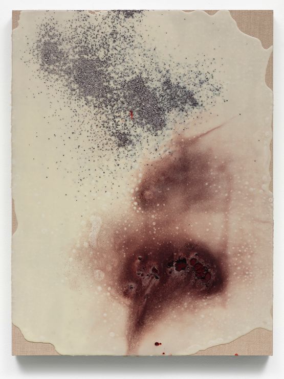 Cochenille Cluster by Analia Saban contemporary artwork Mixed Media