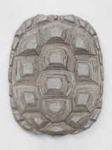 Tartaruga - The Canberra Times by Mirko Baselgia contemporary artwork mixed media