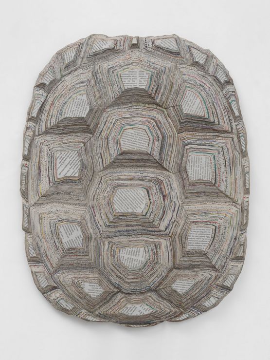 Tartaruga - The Canberra Times by Mirko Baselgia contemporary artwork Mixed Media