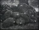 Fresh Fruit Bunch by Maryanto contemporary artwork Painting