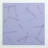 Untitled by Robert Barry contemporary artwork Painting