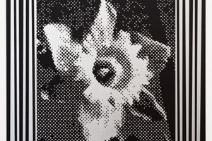Paul Morrison
