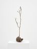 Witness Highview by Kelly Akashi contemporary artwork Sculpture