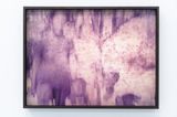 Untitled cousins and relatives by Wei Leng Tay contemporary artwork photography print