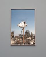 Untitled F2261 by Julius Von Bismarck contemporary artwork photography