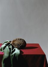 Les Exercises Spirituels by Olivier Richon contemporary artwork photography