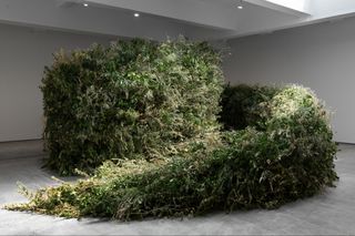 Contemporary art exhibition Meg Webster Thicket at Paula Cooper Gallery 521 West 21st Street United States