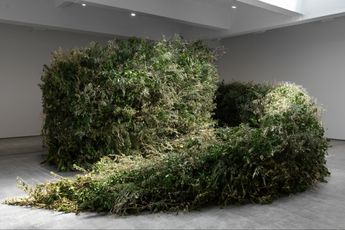Contemporary art exhibition Meg Webster Thicket at Paula Cooper Gallery 521 West 21st Street United States