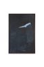 Corpus XI by Siiri Spronken contemporary artwork Painting
