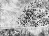Ra us chen am Rand by Julia Steiner contemporary artwork works on paper