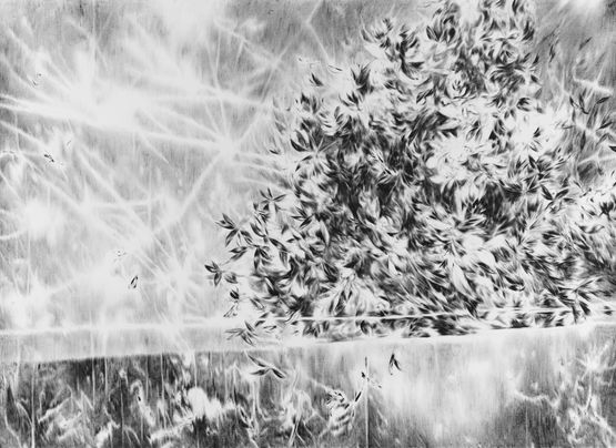 Ra us chen am Rand by Julia Steiner contemporary artwork Works on Paper