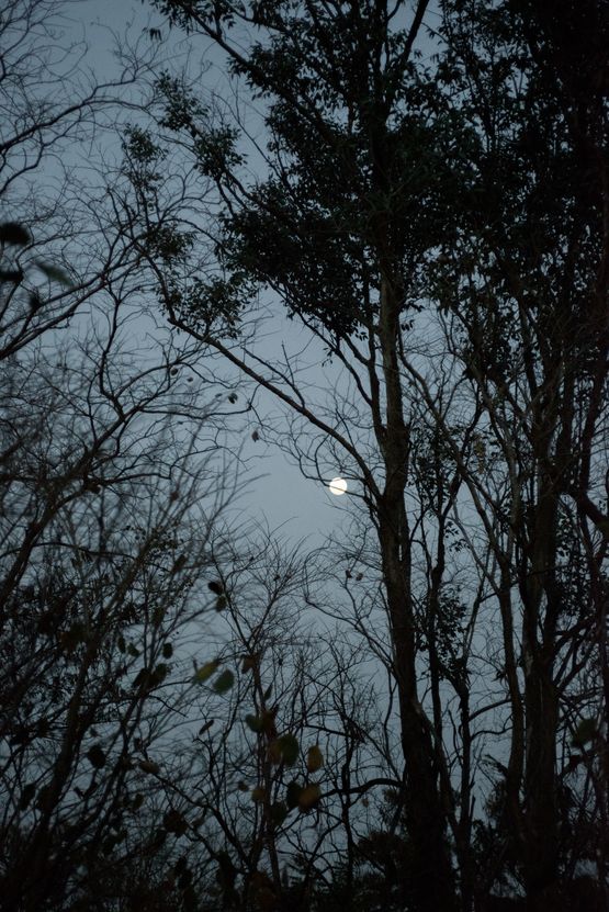Mond from the Ubergang series by Grit Schwerdtfeger contemporary artwork Photography
