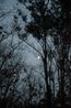 Mond from the Ubergang series by Grit Schwerdtfeger contemporary artwork Photography