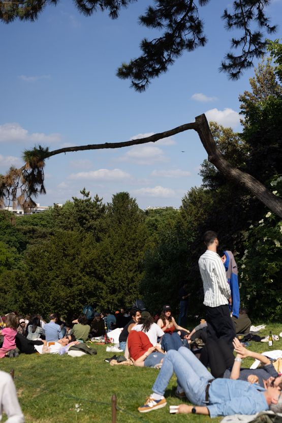 Parc des Buttes-Chaumont Paris by Wolfgang Tillmans contemporary artwork Photography