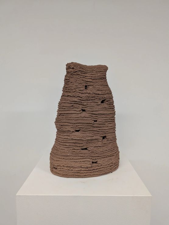 Untitled from the series Cupinzeiros by Lidia Lisboa contemporary artwork Sculpture